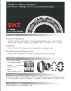 SMT Titanium Ball Bearings